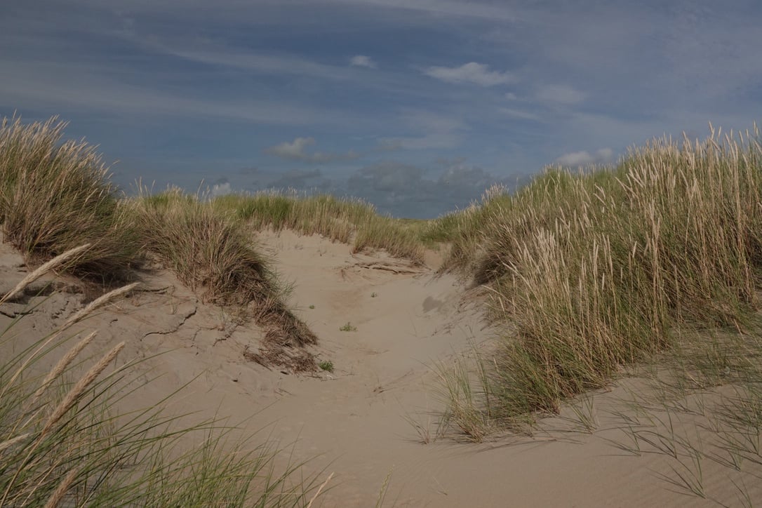 huur chalet op texel - Janet van Putten