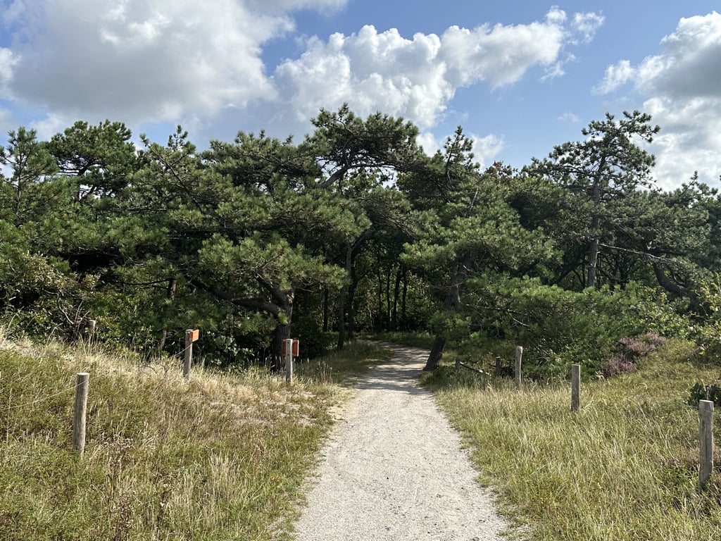 huur chalet op texel - Janet van Putten