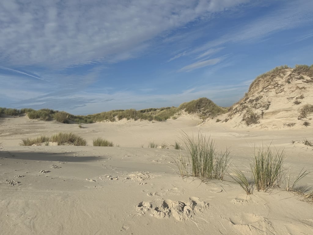 huur chalet op texel - Janet van Putten