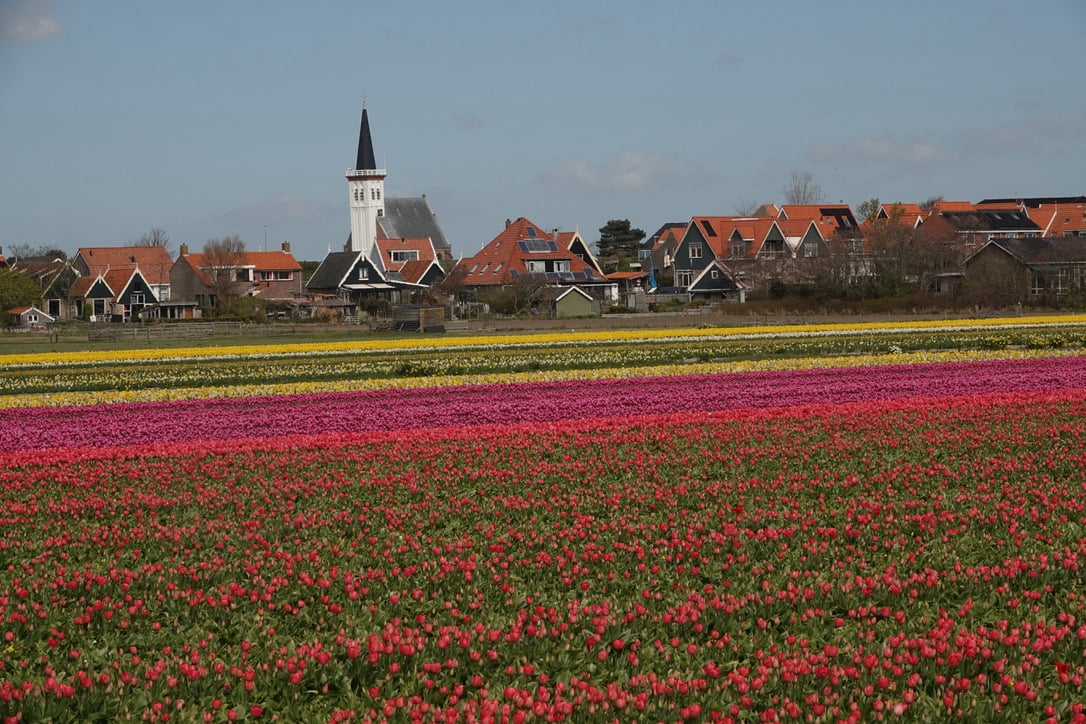 huur chalet op texel - Janet van Putten