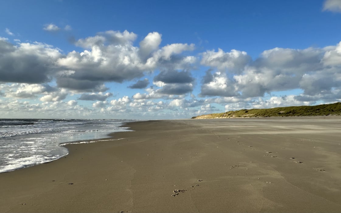 huur chalet op texel - Janet van Putten