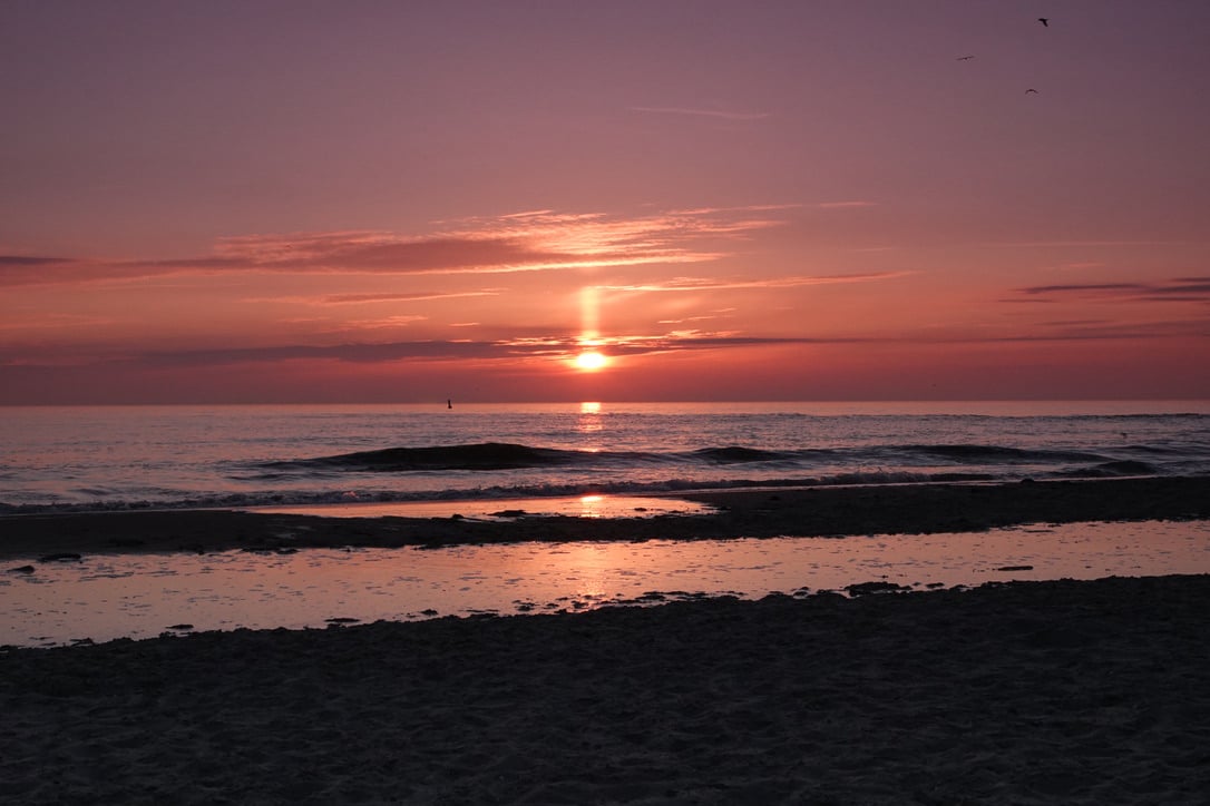 huur chalet op texel - Janet van Putten