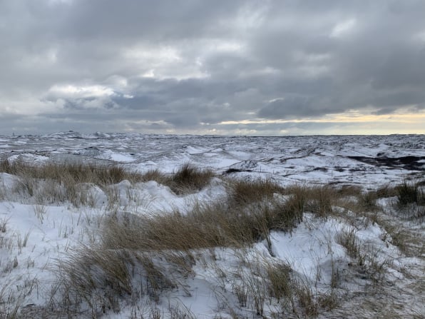 huur chalet op texel - Janet van Putten