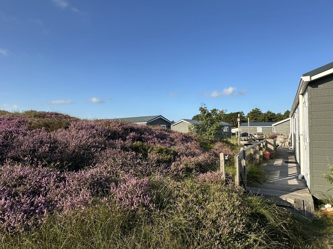 Huur Chalet Op Texel